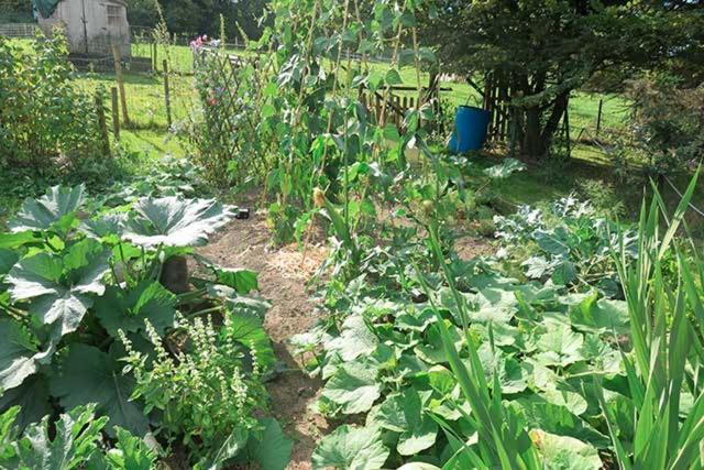 B&B Ferme Du Petit Breuil Verviers Esterno foto